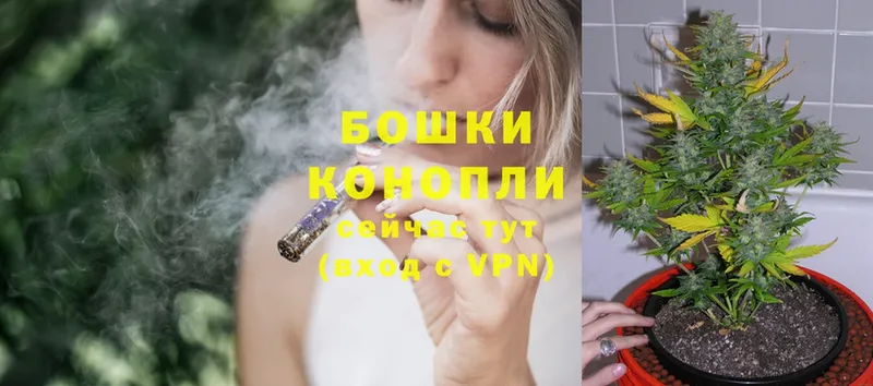 Шишки марихуана SATIVA & INDICA  дарнет шоп  Нововоронеж 